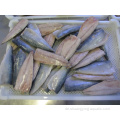 Gefrorener Fischpazifikmakrele -Filet im Impfstoffpaket